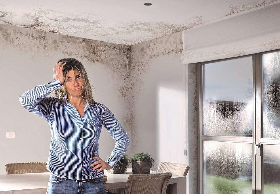 7 solutions puissantes pour éradiquer l’humidité de votre maison