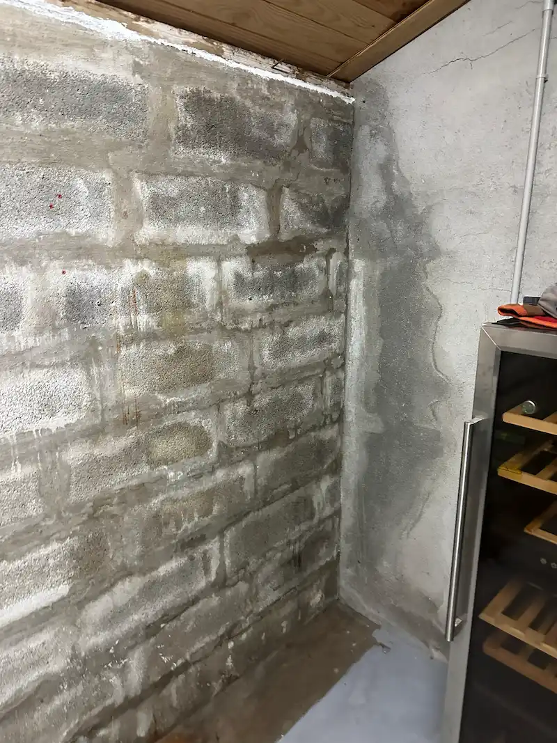 Remontées capillaires dans une cave avant traitement anti-humidité