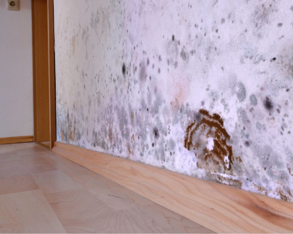 Mur humide avant traitement anti humidité