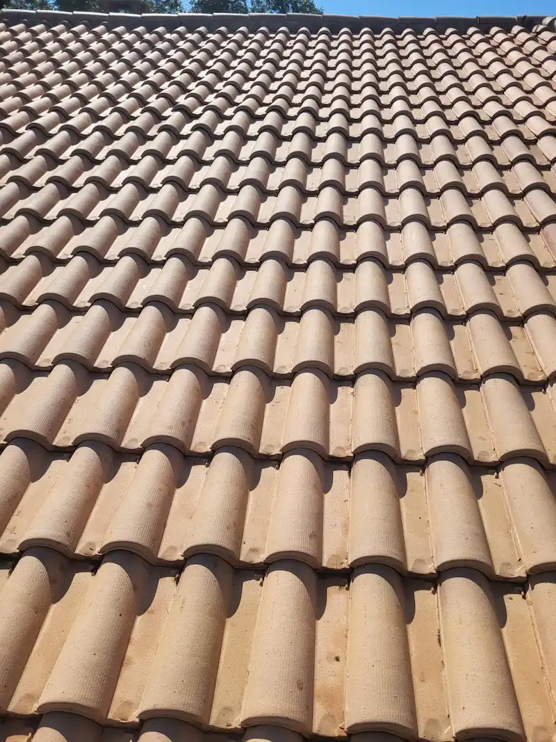 Toit en tuiles canal nettoyée et démoussée dans le Sud Ouest
