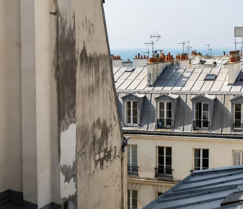 Toiture en Zinc à Vincennes et Saint-Mandé : Entretien, Fuites et Rénovation