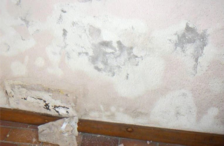 Peinture qui se décolle à cause de l'humidité