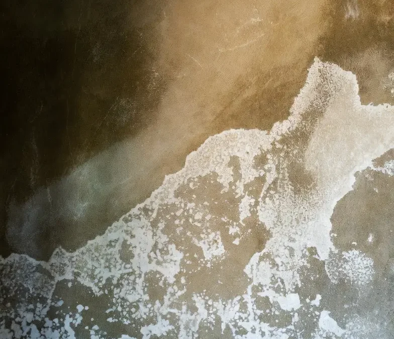 Salpêtre et humidité à Rochefort : Pourquoi vos murs s&rsquo;effritent et comment traiter ?