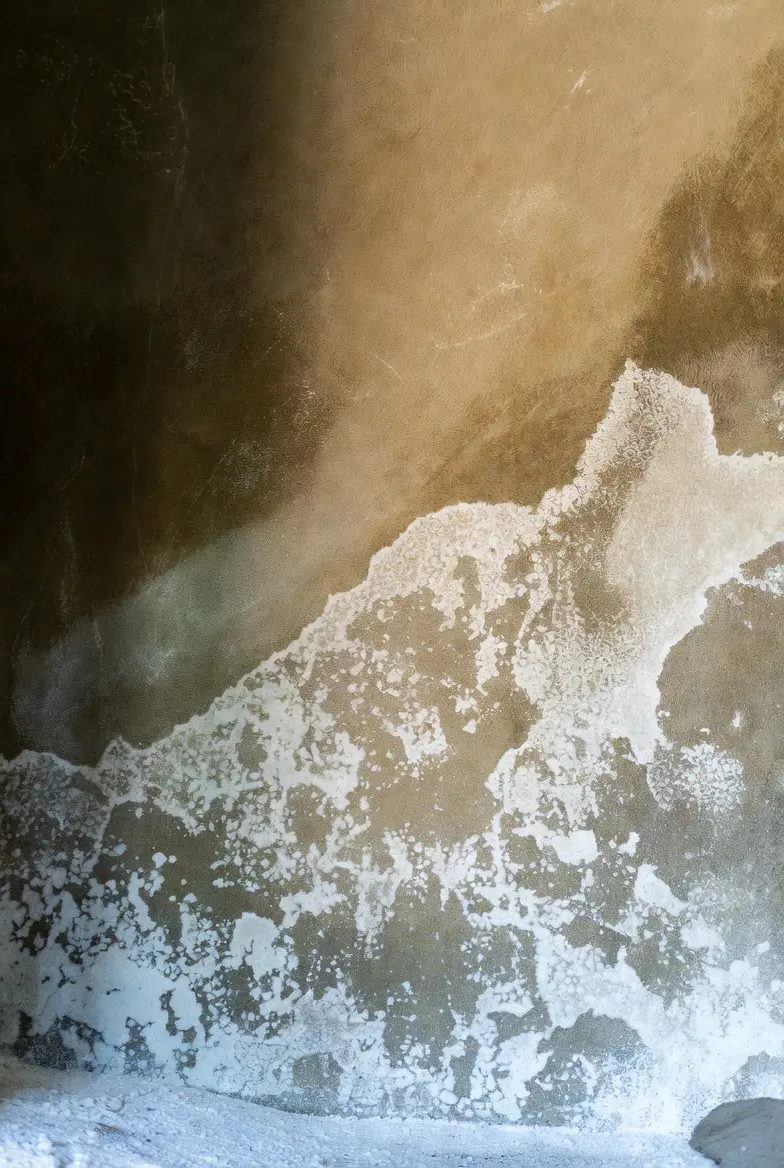 Mur en pierre charentaise avec salpêtre visible