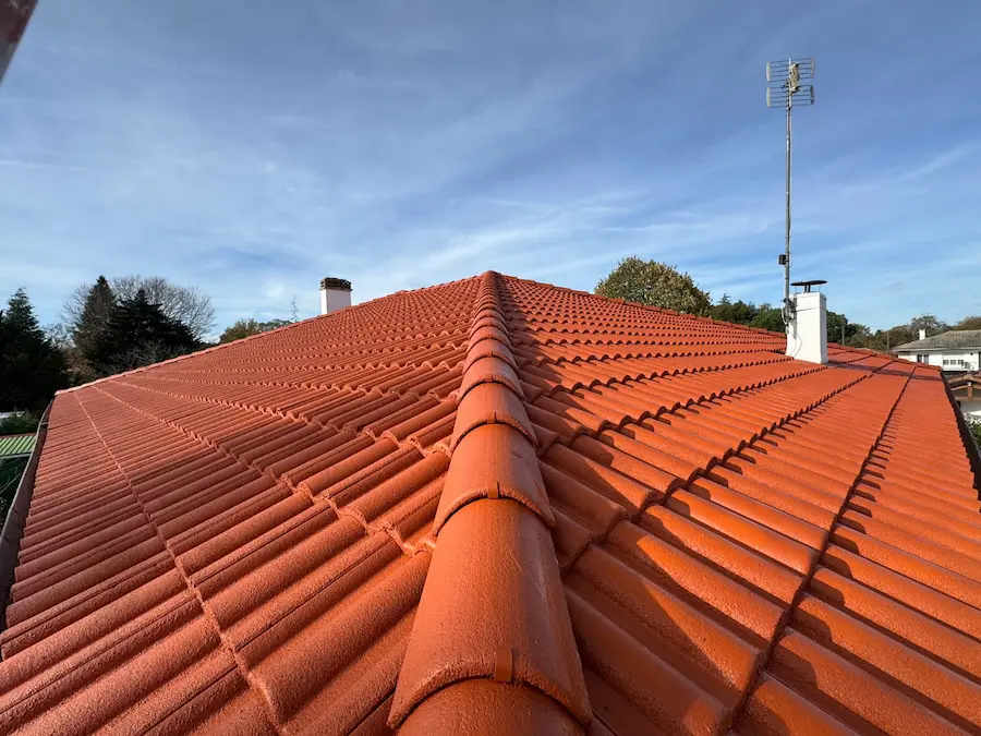 Traitement hydrofuge sur toiture en tuiles en Charente-Maritime